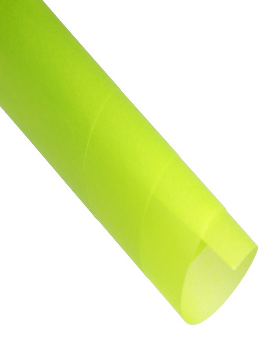 Vellum Plain A4 Paper (120 gsm) (Pack of 20) Parrot Green