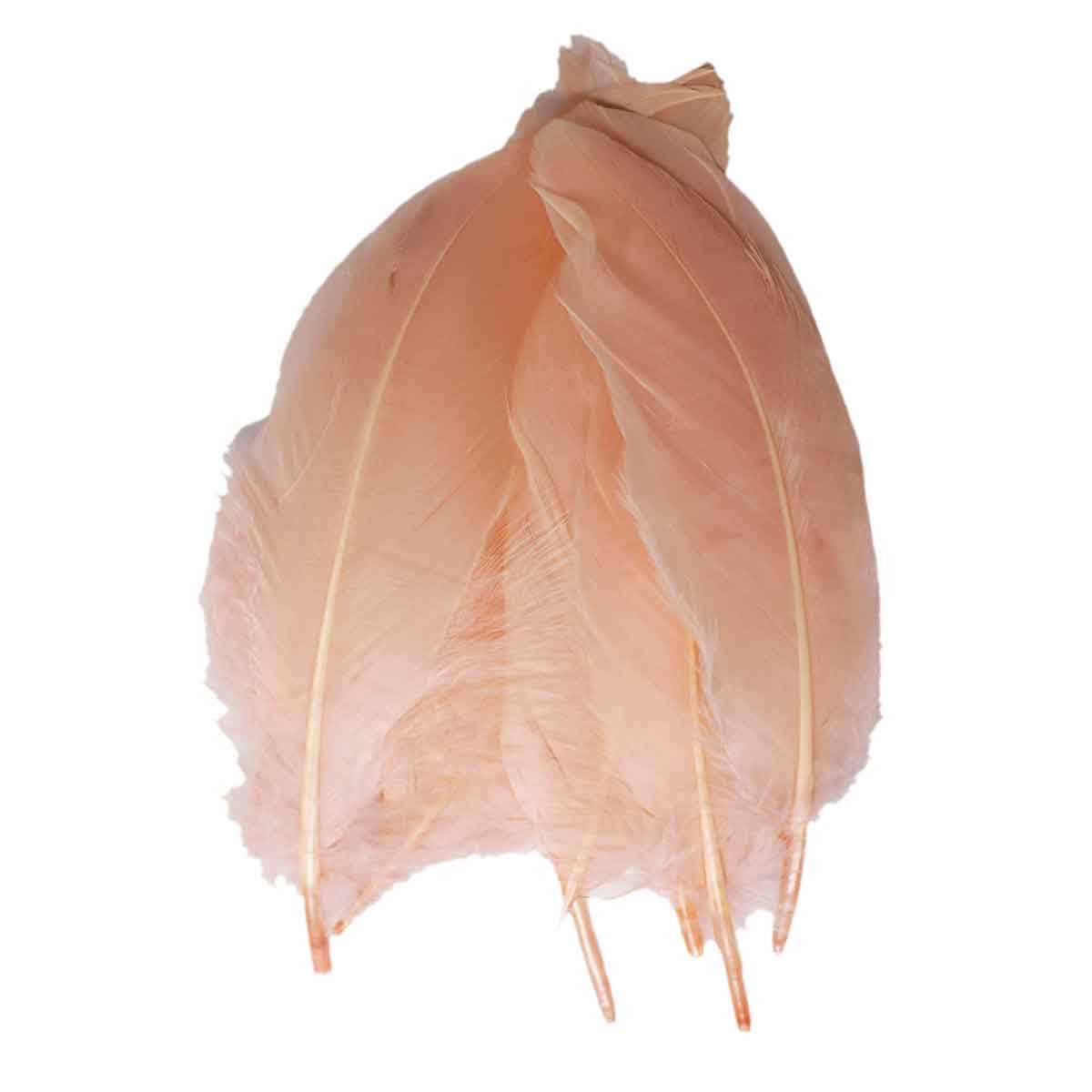 Artificial Feather Peach (78 Inch Long) (Pack of 10) For craft Dream