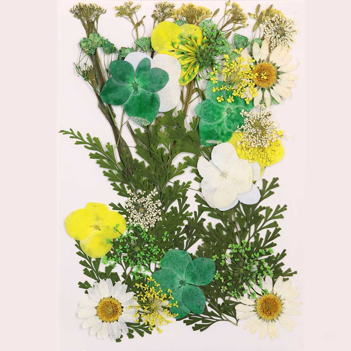 JustKraft Natural Dried Pressed Flowers for Resin Art Pack of 20 flowers