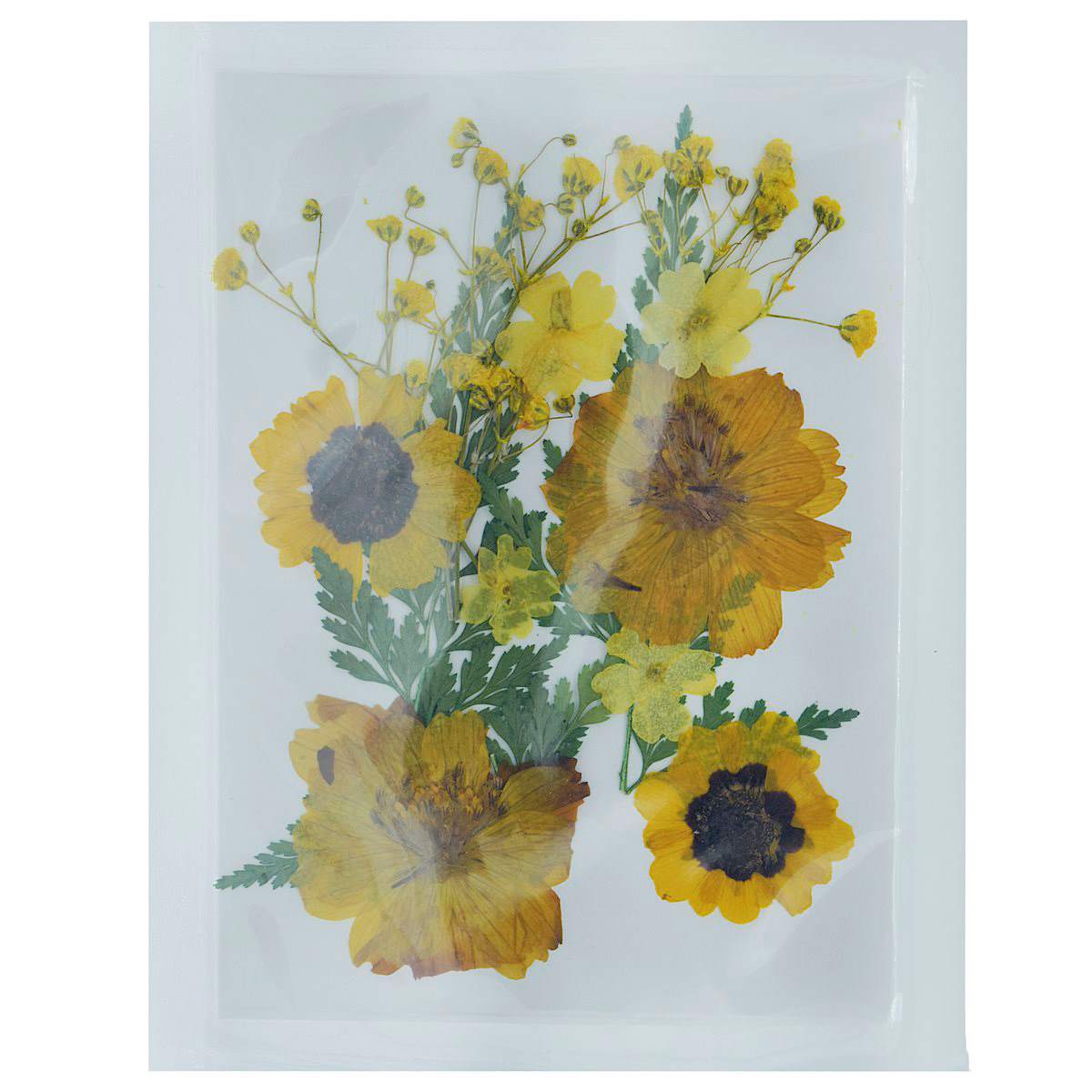 JustKraft Natural Dried Pressed Flowers For Resin Art Pack of 12 Pcs